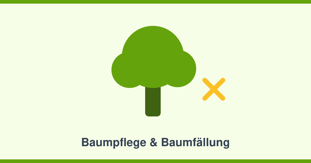 Baumpflege und Baumfällung: Sicherheit, Genehmigungen und der richtige Profi