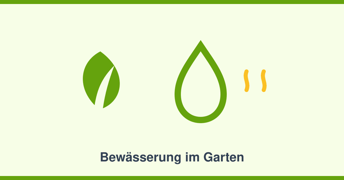 Bewässerung im Garten: Von der Regentonne bis zum automatischen System