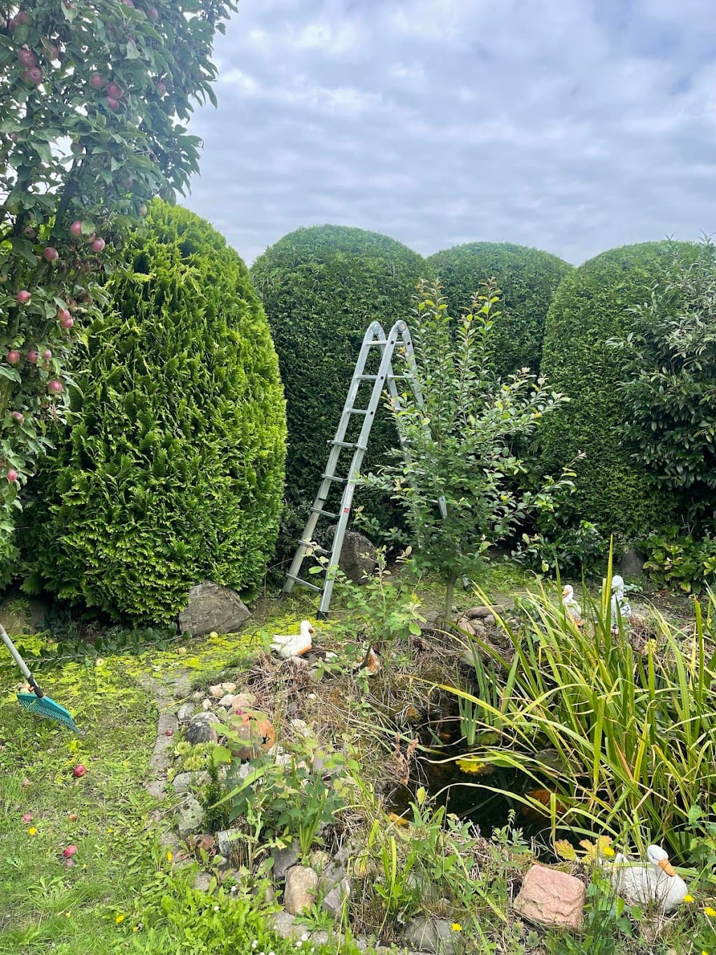 Emini Gartenpflege — 1