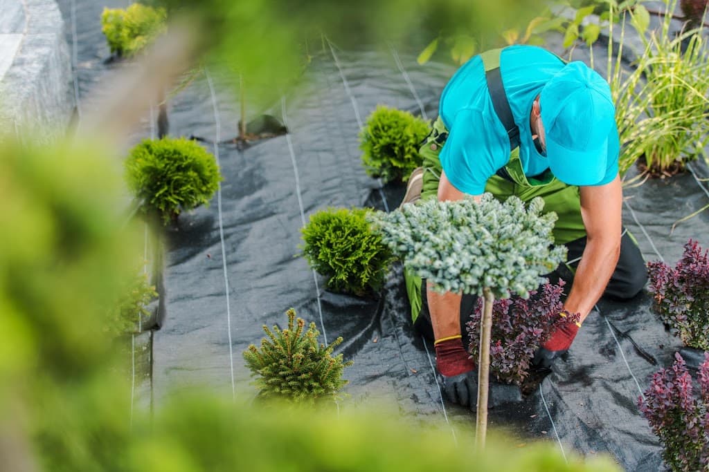 Gartenbau Valdorf - Gartenbau München | Garten & Landschaftbauer München