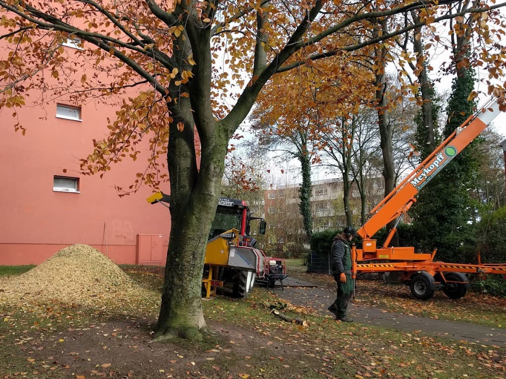 Meykopff Garten- und Landschaftsbau GmbH