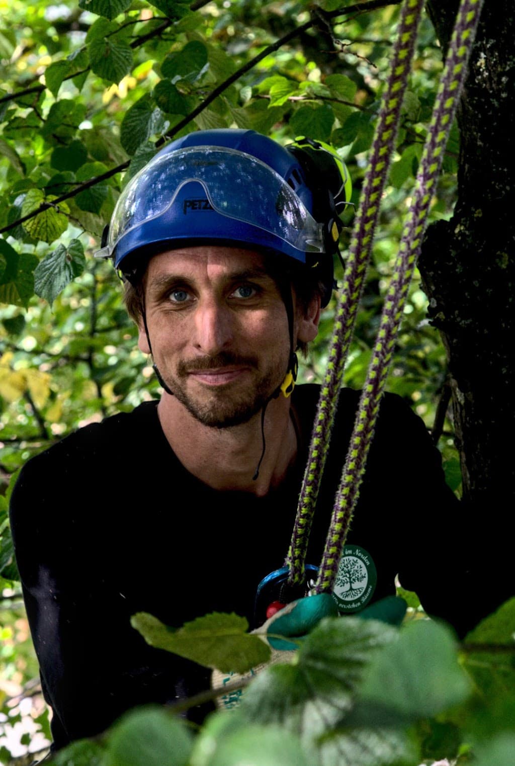 Arboristik im Norden - Fachbetrieb Baumpflege