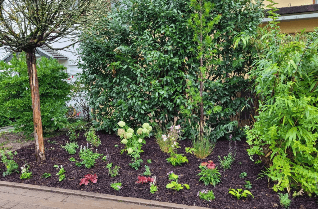 Haus und Gartenservice Borchardt