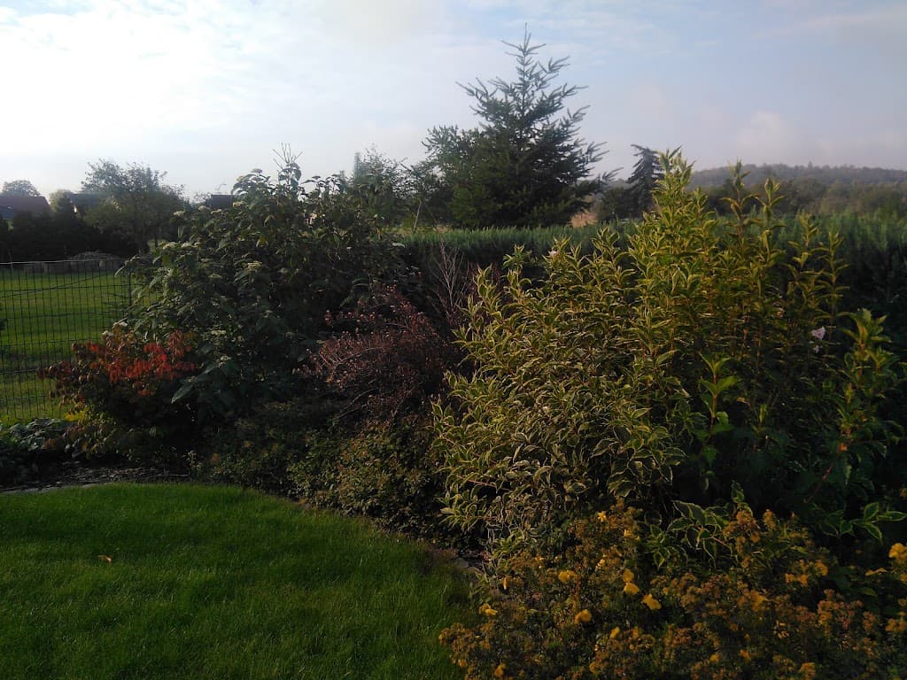 eingartentraum Gartengestaltung, Gartenpflege und Grabpflege