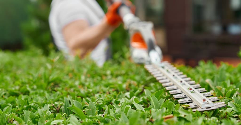 Gartenhelfer Berlin | Gartenpflege Berlin | Baumdienst Berlin