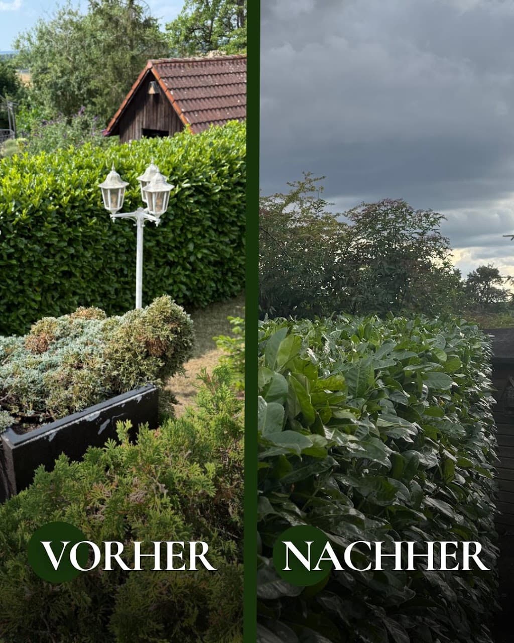 Sprout Gartenservice | Gartenpflege & Rasenpflege Stuttgart