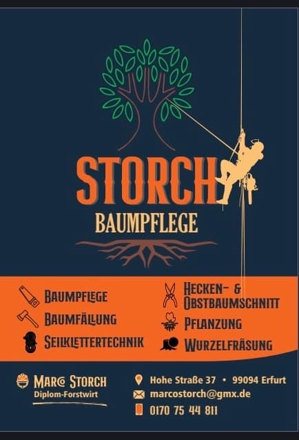 Baumpflege Marco Storch Erfurt