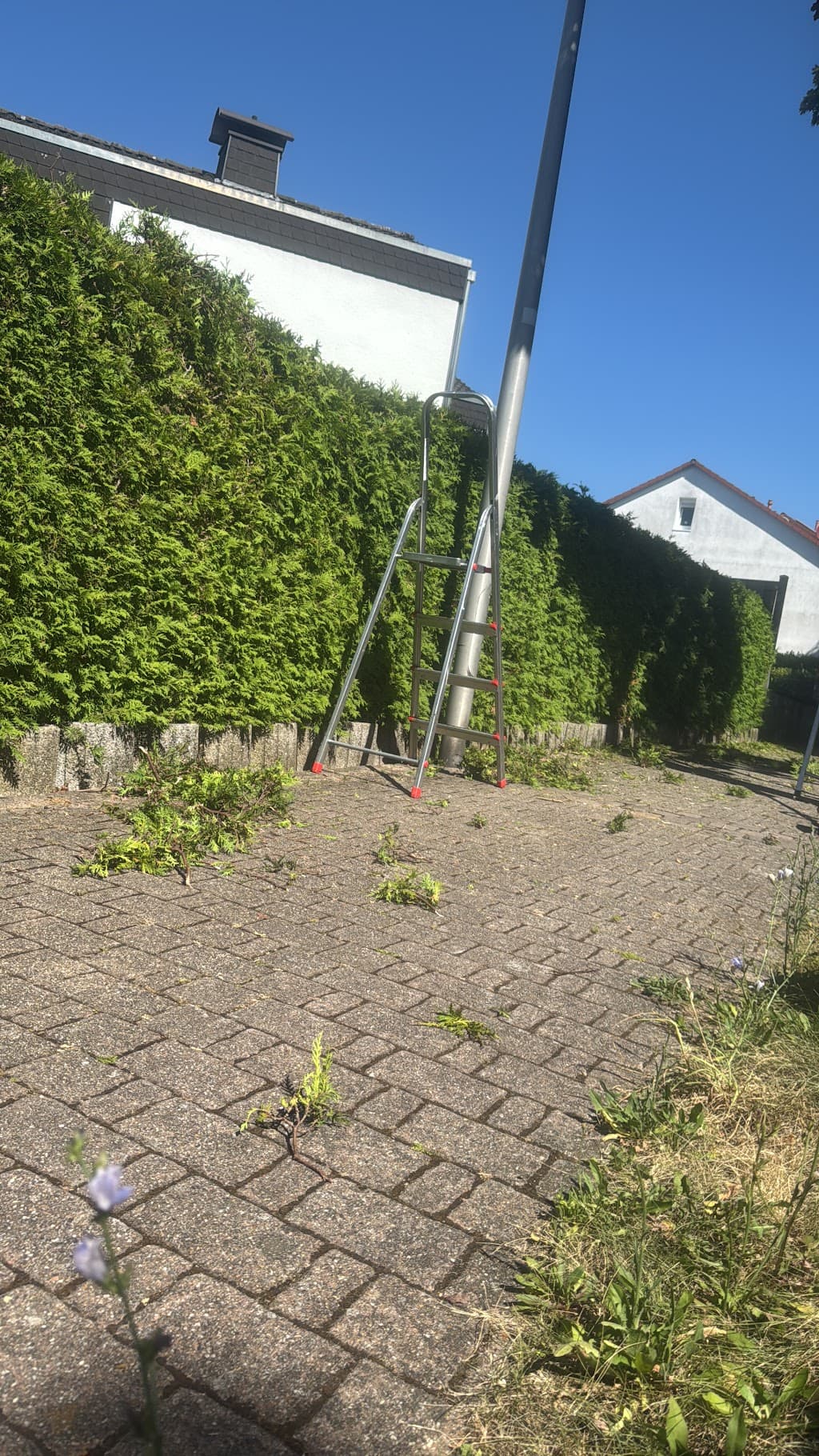 Edins Haus und Garten Service
