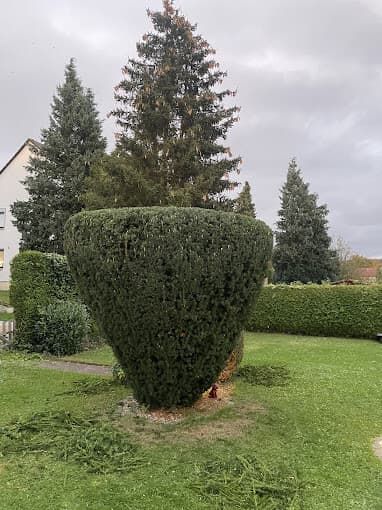 J&T Garten&TerrassenHelden