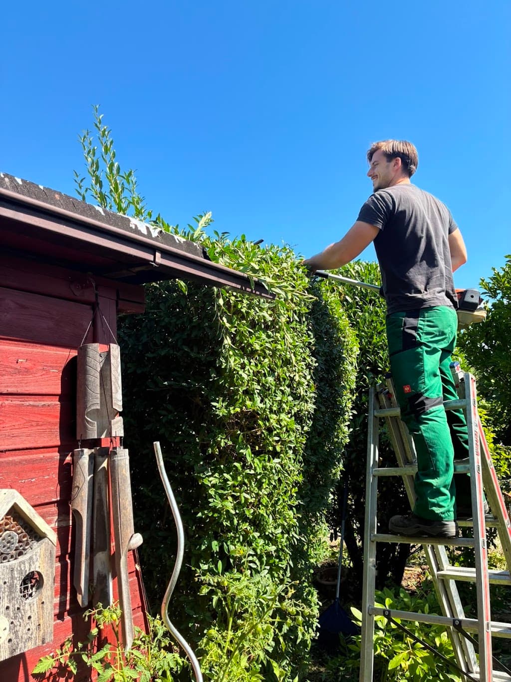 Moritz Wallat Gartenpflege — 1