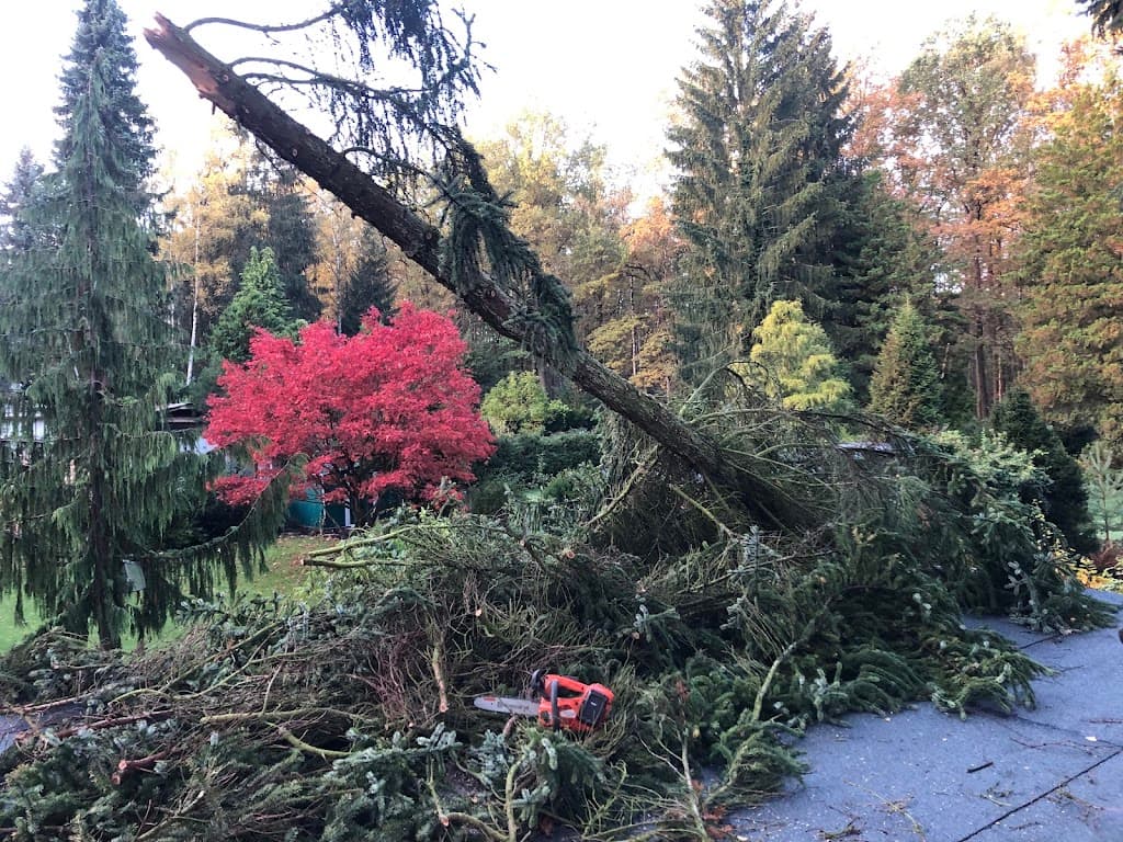 Baumpflege, Garten- und Landschaftsbau Ken Seifert