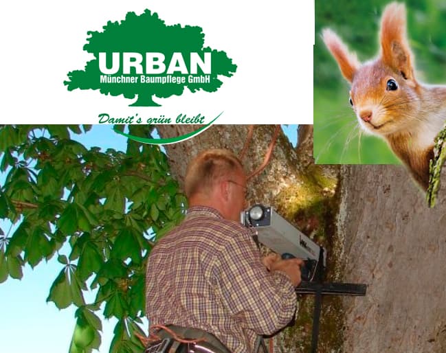Urban Münchner Baumpflege GmbH