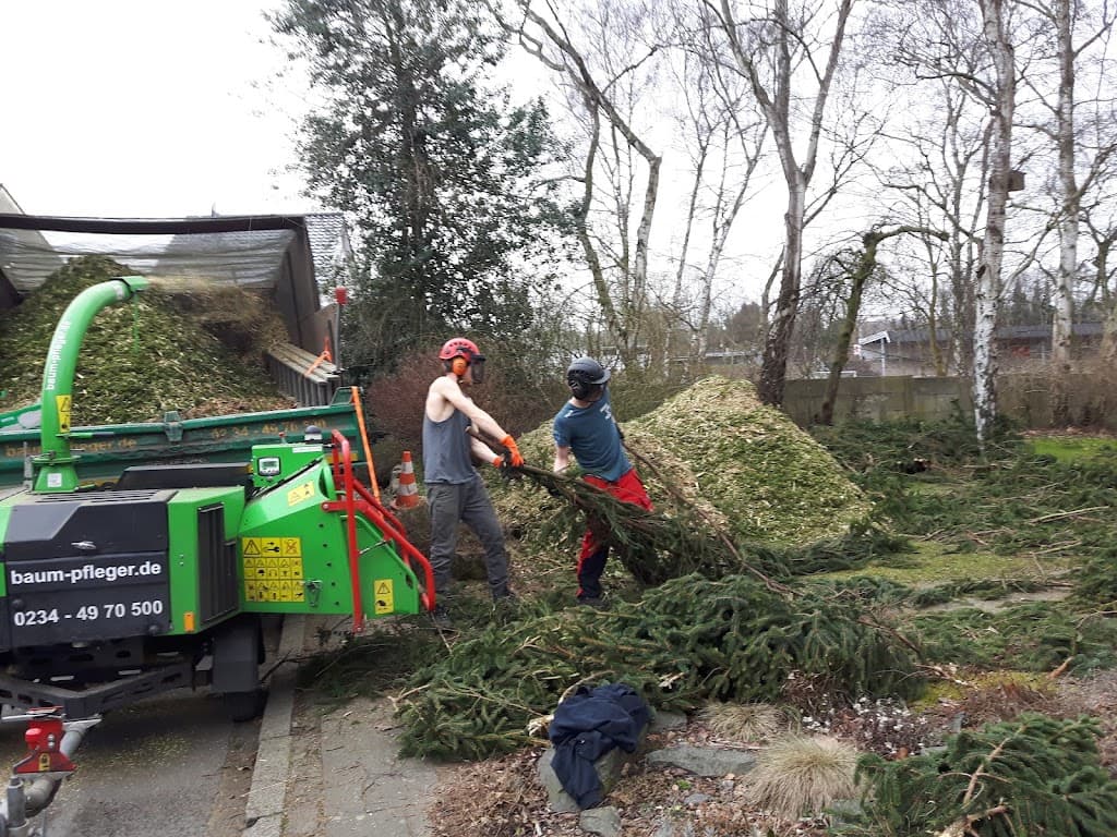 Baum-pfleger.de