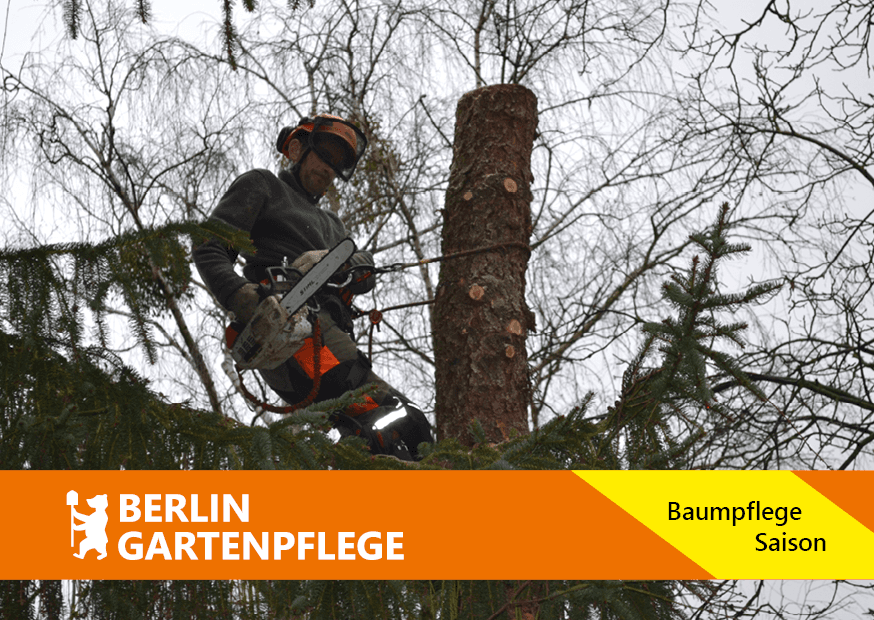 Berlin-Gartenpflege