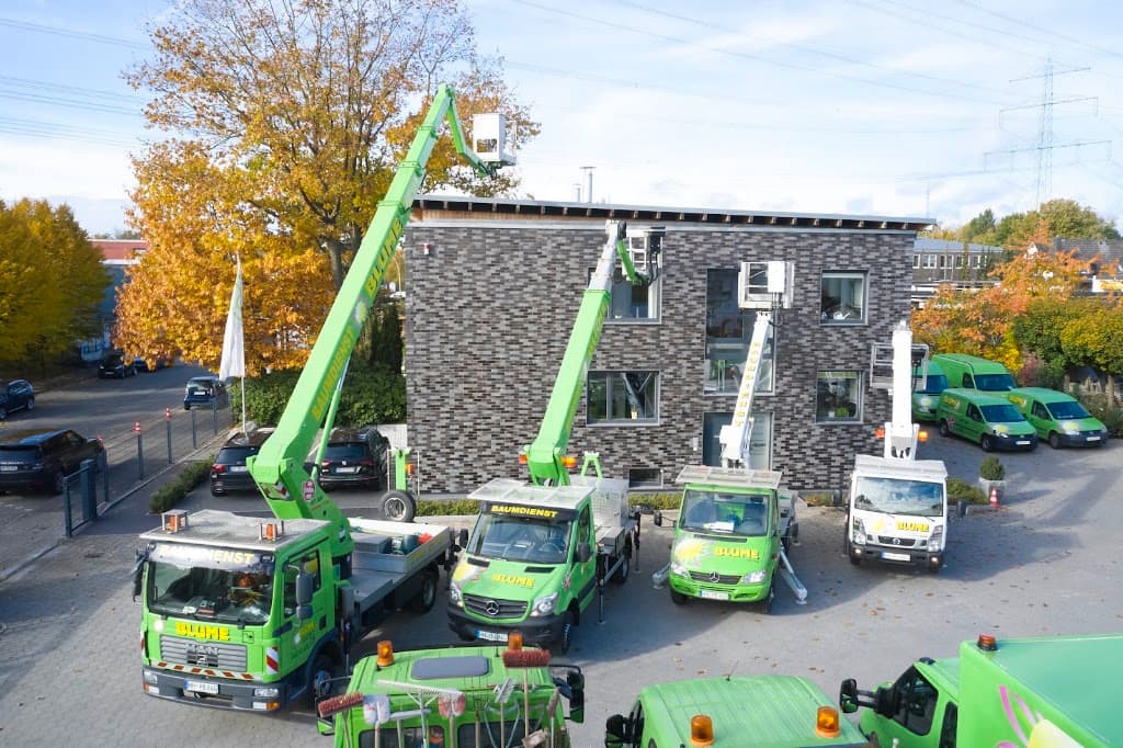 Blume Garten - und Landschaftsbau GmbH & Co. KG Baumpflege