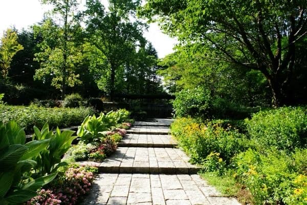 Garten & Landschaftsbau Hannover