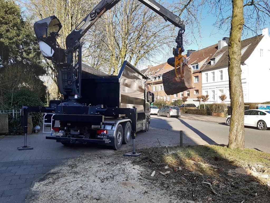 Baum- und Strauchpflege Mathias Keßeler
