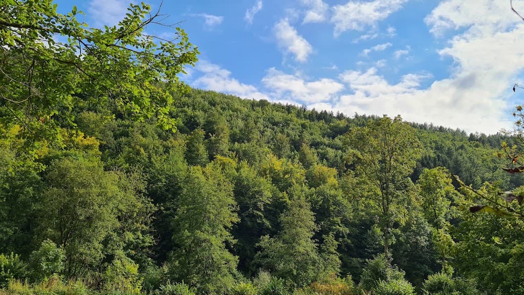 Zaunbau und Gartenservice Schellenberg