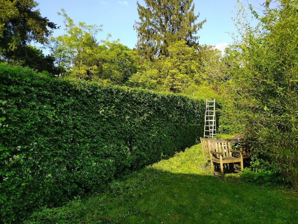 Pit Gartenbau und Landschaftbau