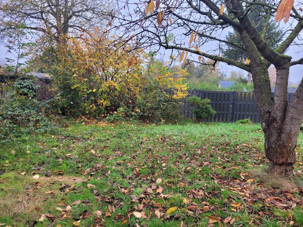 Gartenpflege Dettmann | Bochum