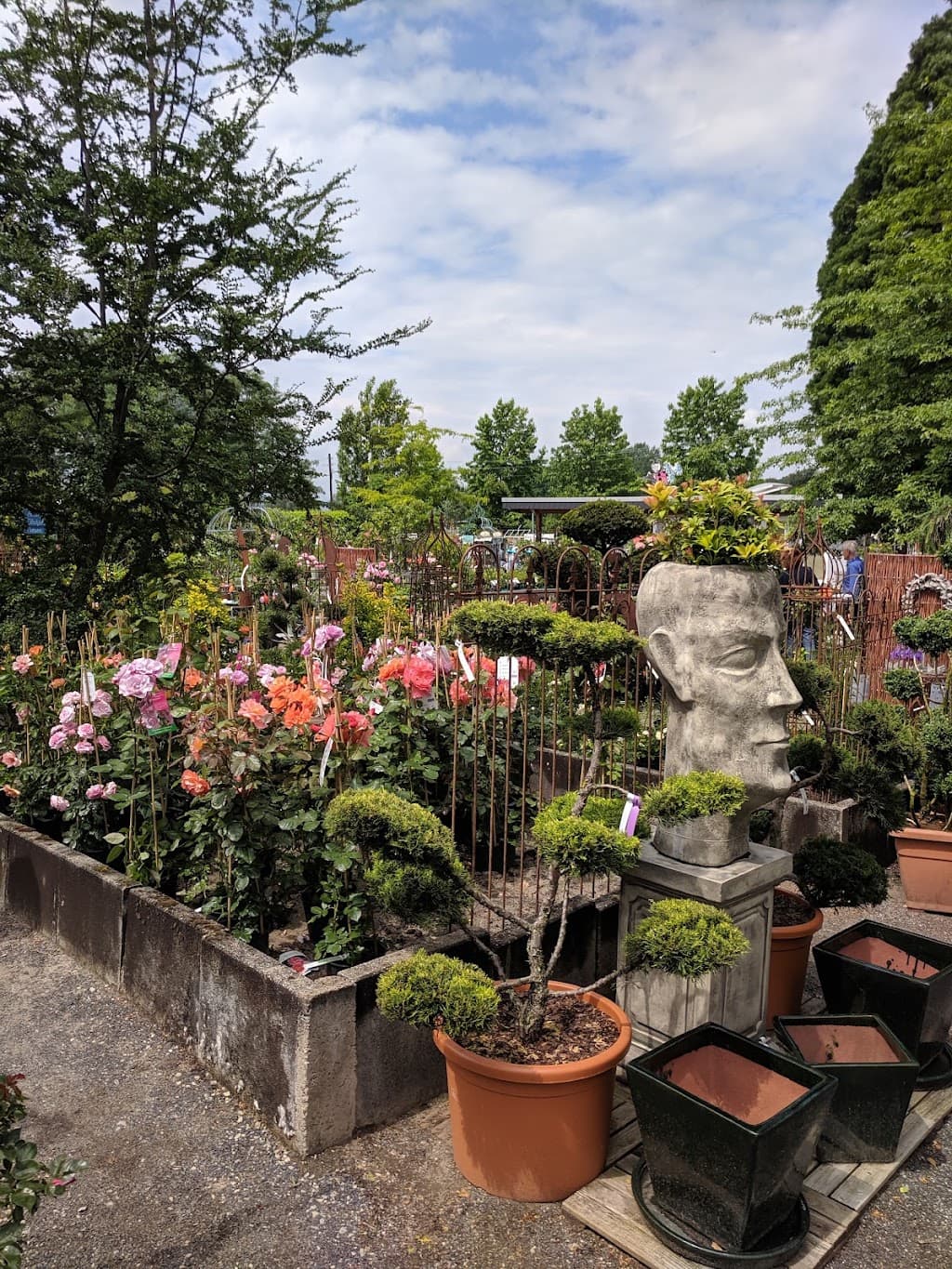 Steuber Garten- und Landschaftsbau GmbH