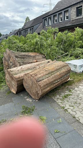 Baumdienst Hermanick — Kundenfoto