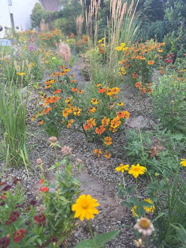 GRÄFE Garten- und Landschafts- bau GmbH — Kundenfoto