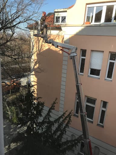 Urban Münchner Baumpflege GmbH — Kundenfoto