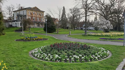 Gartenbau Bonn - Buja Gartenpflege — Kundenfoto