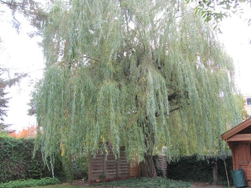 G.P.Garten- u. Landschaftsbau GmbH — Kundenfoto