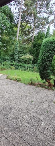 Gartenbau Bublica in Düsseldorf | Galabau | Garten und Landschaftsbau in Düsseldorf — Kundenfoto