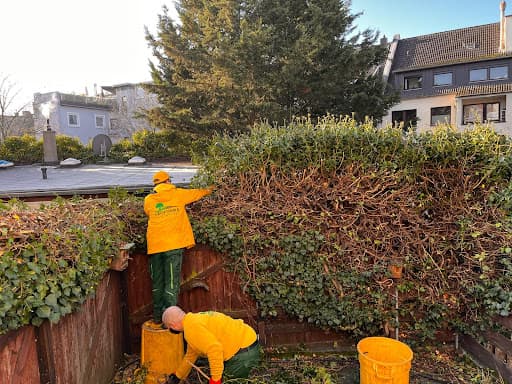 Geoforma® Gartenpflege GmbH - Köln — Kundenfoto