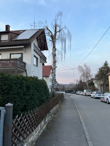 Kälberer Gartenbau — Kundenfoto