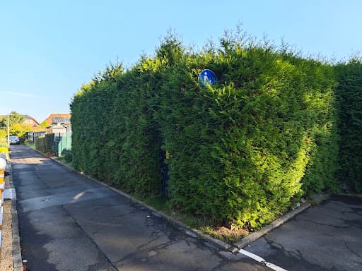 Gartenheld Schwab, Gartenpflege und Grundstückspflege — Kundenfoto