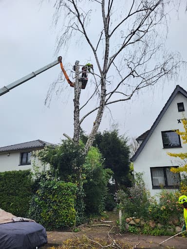 Arboristik im Norden - Fachbetrieb Baumpflege — Kundenfoto