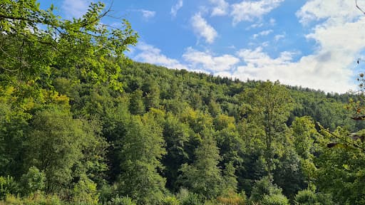 Zaunbau und Gartenservice Schellenberg — Kundenfoto