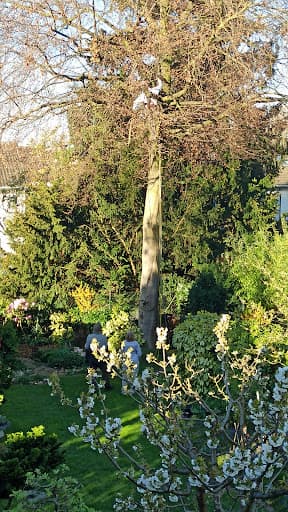 die arboristen — Kundenfoto
