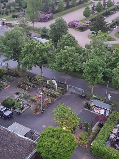 E. Düsseldorf Baumpflege GmbH — Kundenfoto