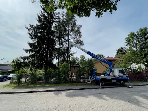 Urban Münchner Baumpflege GmbH — Kundenfoto