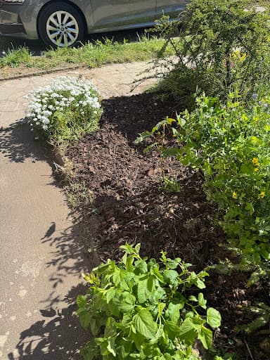Moritz Wallat Gartenpflege — Kundenfoto