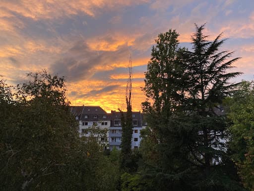Baumdienst Hermanick — Kundenfoto