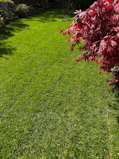 GreenTeam Gartenpflege und Gestaltung Köln — Kundenfoto