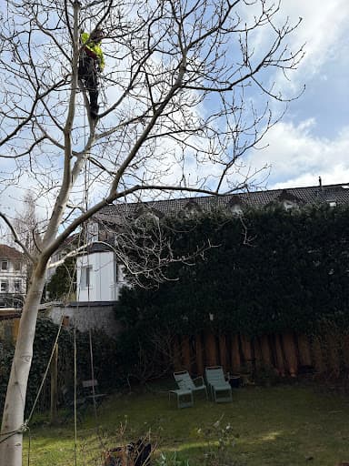Arboristik im Norden - Fachbetrieb Baumpflege — Kundenfoto