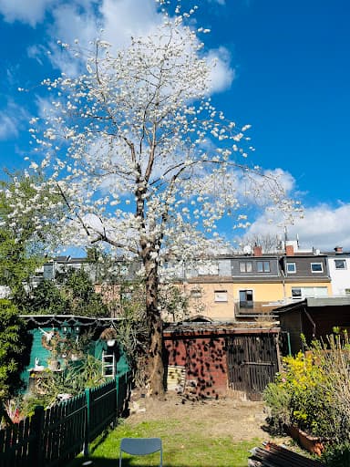 die arboristen — Kundenfoto