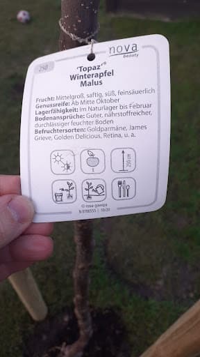 Feldmann GmbH & Co. KG Garten- u. Landschaftsbau — Kundenfoto