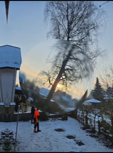 Lachmann Baumpflege — Kundenfoto