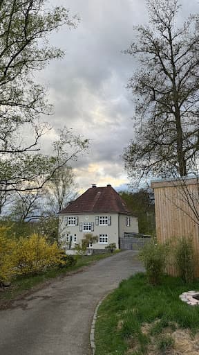 Baumpflege Knapstein & Klinger — Kundenfoto