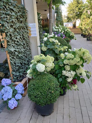 Immo Herbst Garten- und Landschaftsbau GmbH — Kundenfoto