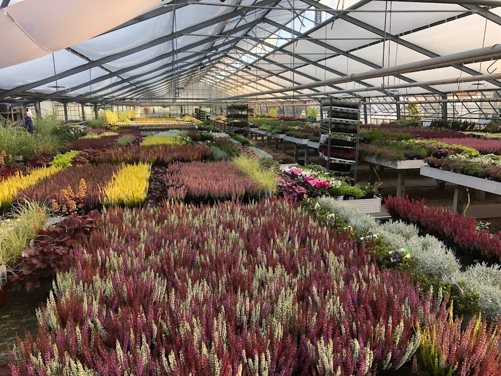 Gartenbau Lessmann