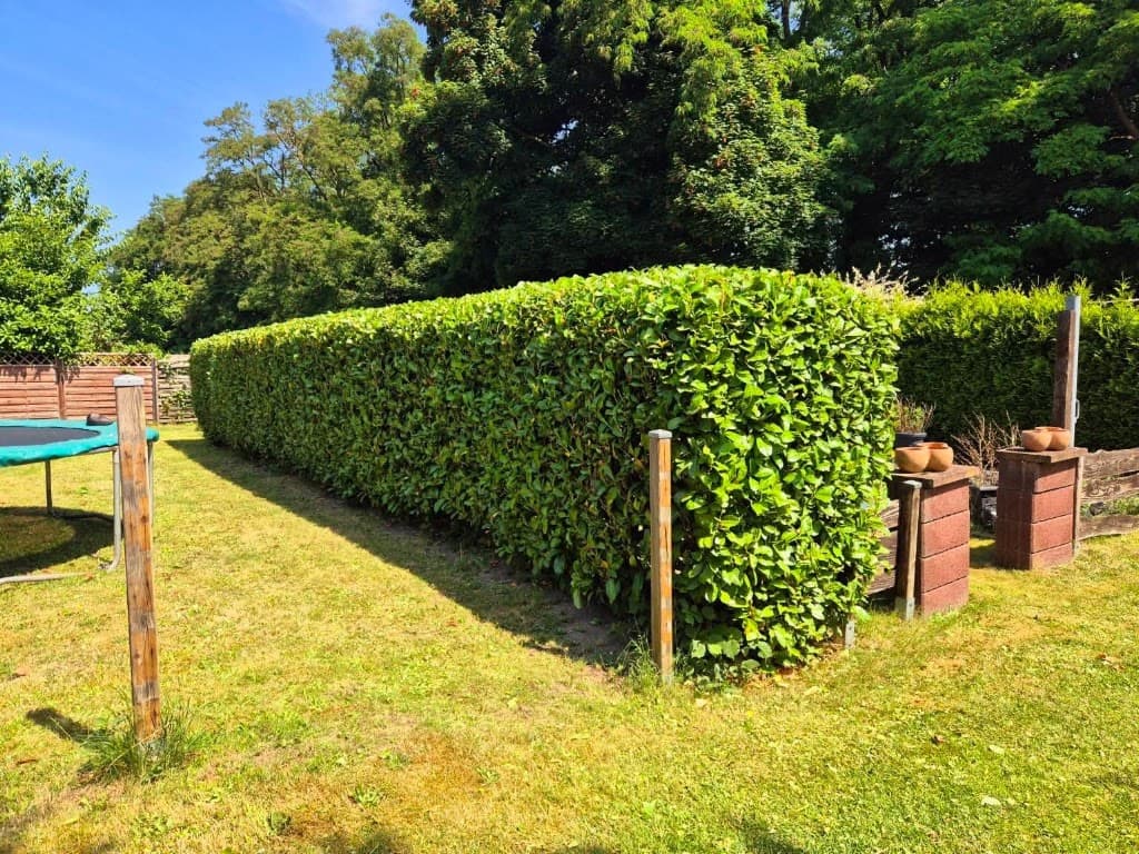 Garten- und Grundstückspflege Schiemann